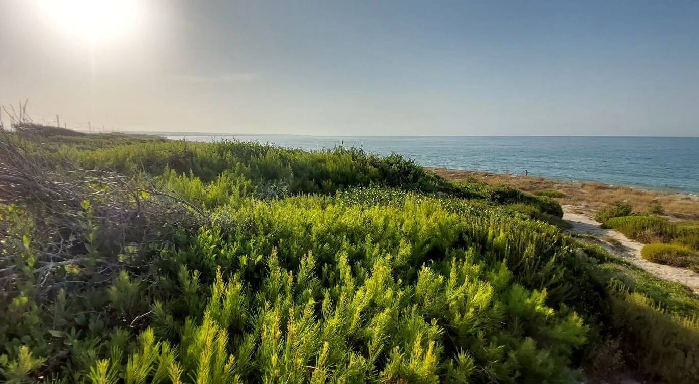 Ramitelli spiaggia Campomarino 