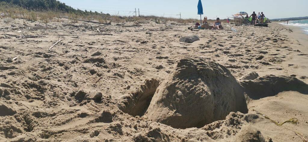 Ramitelli spiaggia Campomarino mare dune