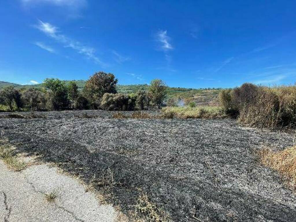 san felice incendio boschivo forestali cb