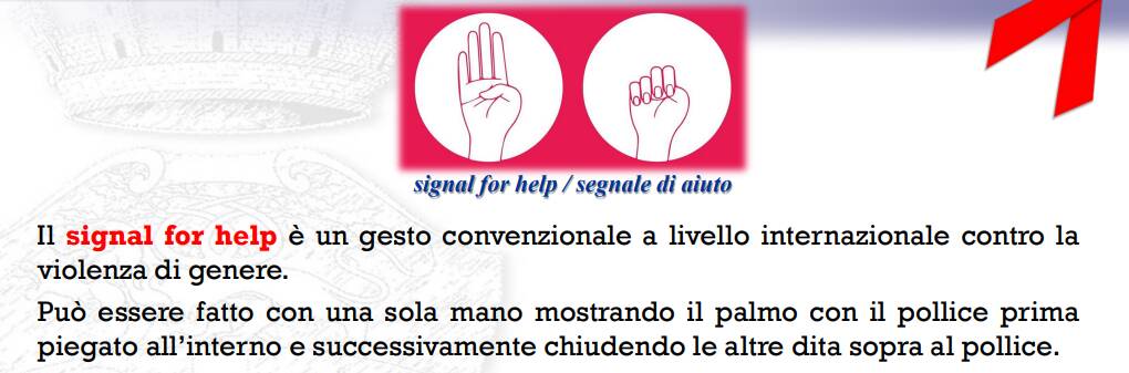 grafico violenza donne