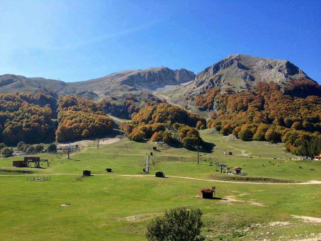 Campitello escursioni 