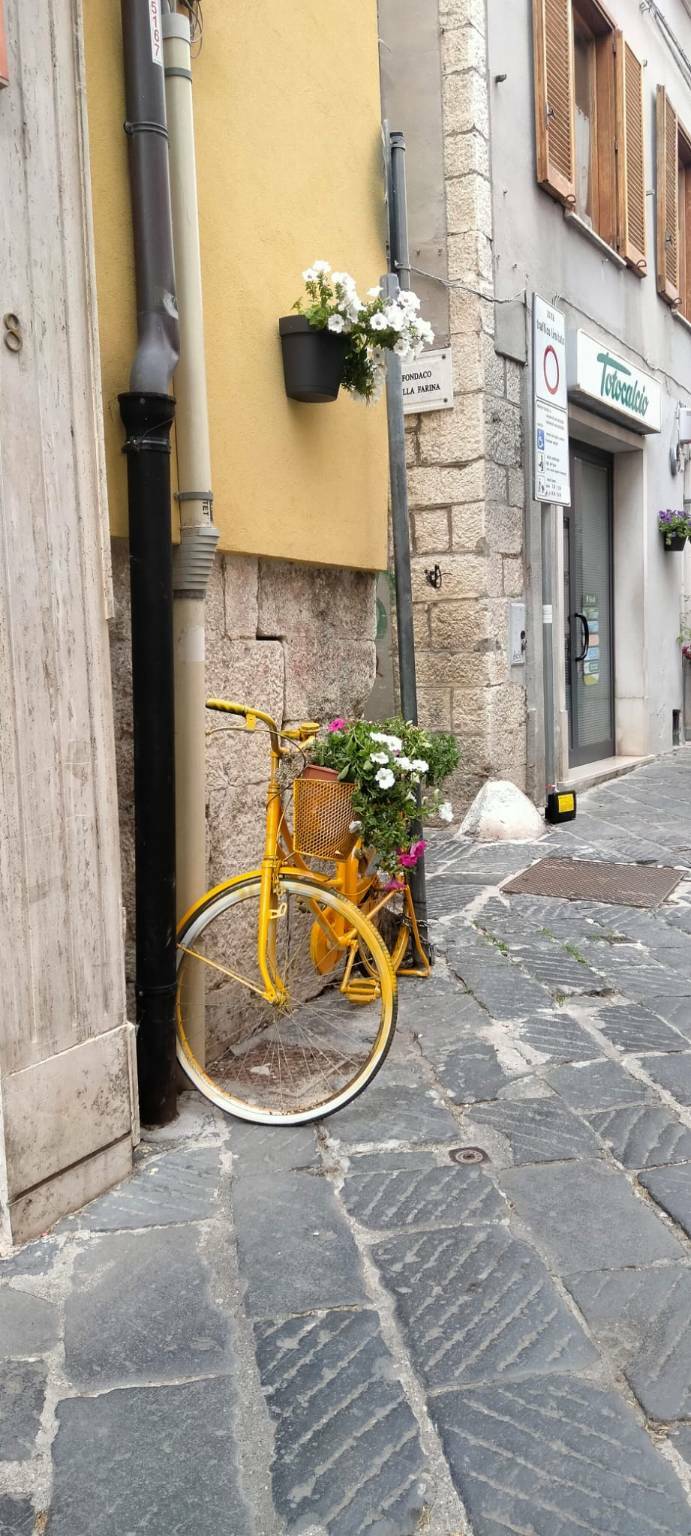 biciclette fiorite via cannavina