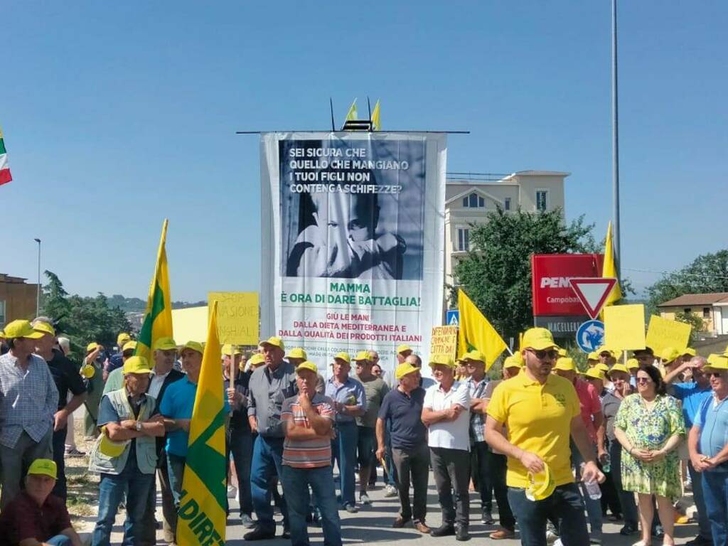 Manifestazione coldiretti cinghiali cb