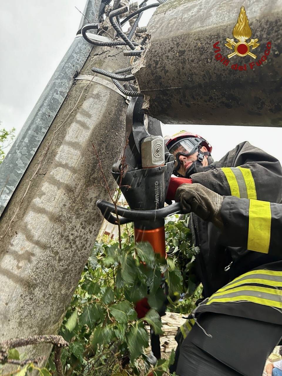 monteroduni traliccio albero