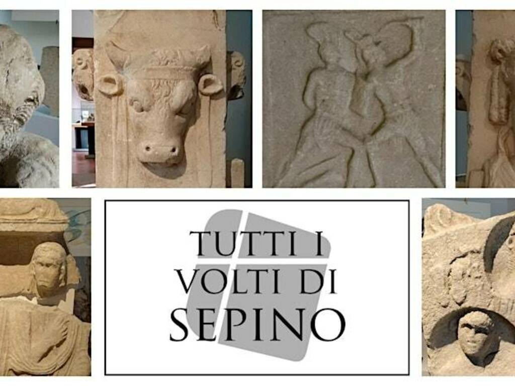 tutti volti sepino